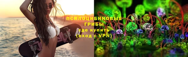 прущие крисы Алексеевка