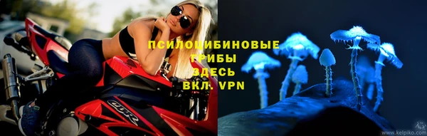ECSTASY Алзамай
