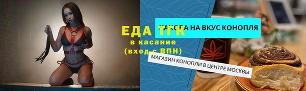 ECSTASY Алзамай