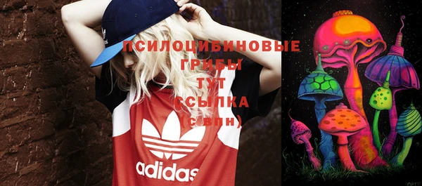 ECSTASY Алзамай