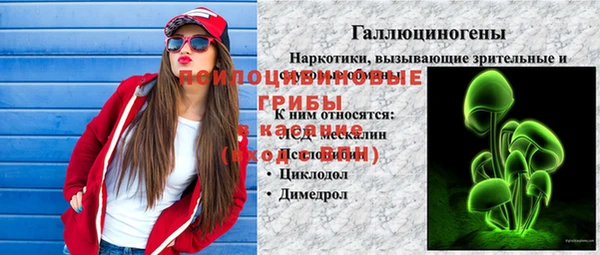 ECSTASY Алзамай
