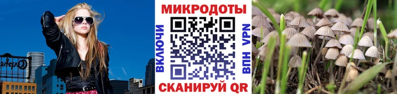 Псилоцибиновые грибы Psilocybine cubensis  магазин  наркотиков  Мытищи 
